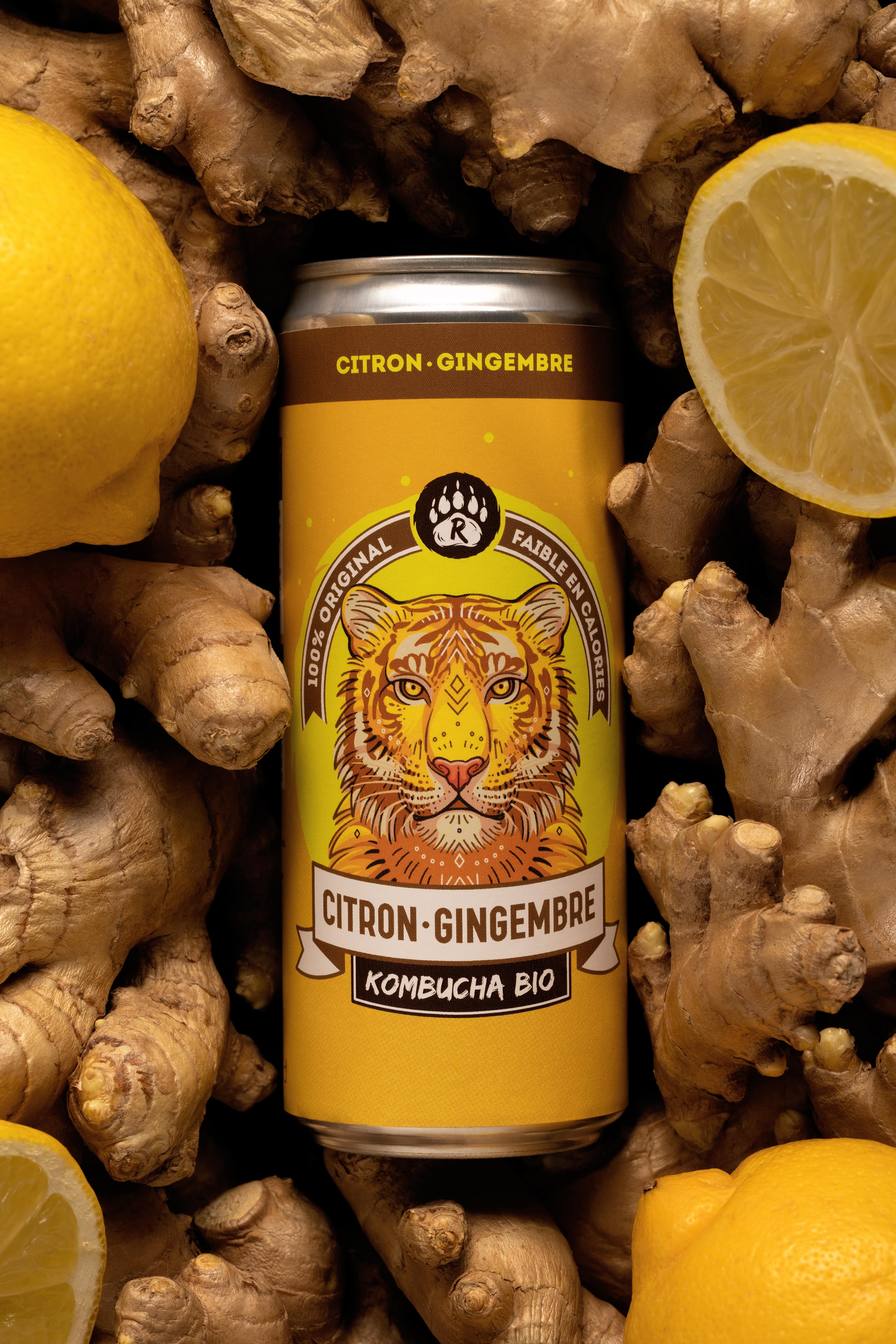 Bio Brasseurs R-Kombucha Citron Gingembre Bio 33cl, Bio Brasseurs