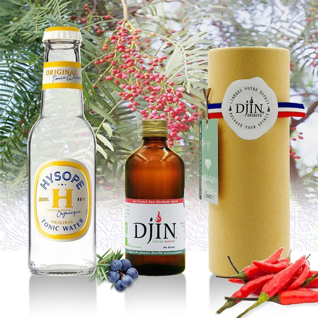 Djin Passion (saveur gin original), Djin Spirits
