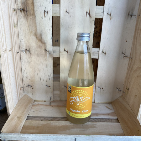 Foliz Kombucha Gingembre Citron Bio 33cl, Foliz
