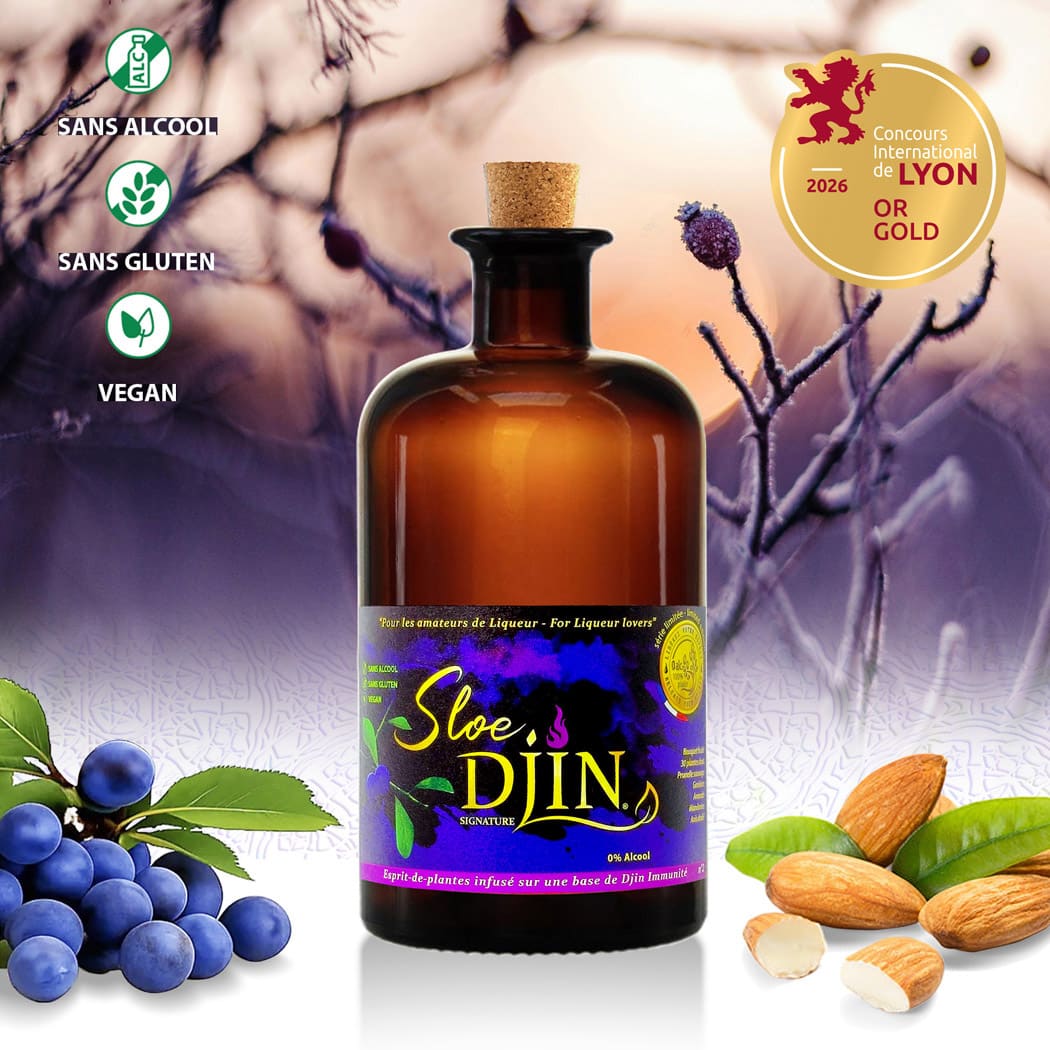 Sloe Djin - Liqueur de fruits sans alcool, Djin Spirits